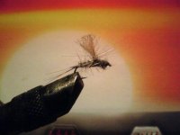 Parachute Style Dry Fly.JPG