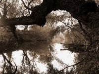 fairy river a1.jpg