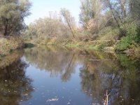 DSC08067_resize.JPG