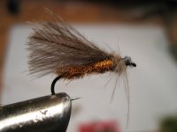 CDC caddis 002.jpg