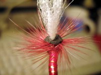 Red Spinner 1.jpg
