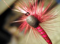 Red Spinner 2.jpg
