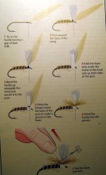 step by step.jpg