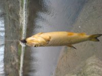 DSC00116.JPG