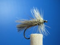 gray-caddis.jpg