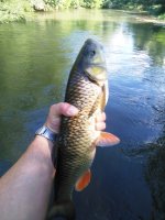 IMG_20160704_165337.jpg