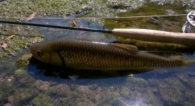 WP_20160805_10_46_26_Pro.jpg