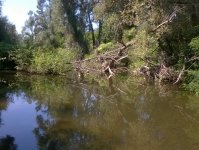 WP_20160805_10_58_42_Pro.jpg