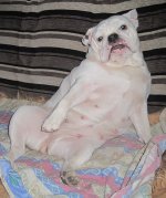 IMG_0011.JPG