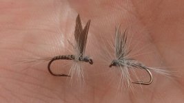 20170108_124115.jpg