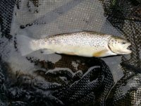 20170301_132348.jpg