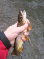 rsz_img_20170301_121527.jpg