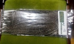 IMG_20170308_182216.jpg