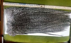IMG_20170308_182012.jpg