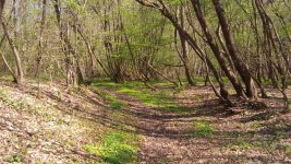20170401_144216.jpg