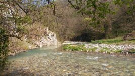 20170401_144654.jpg