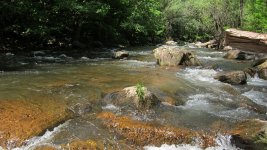 IMG_0858.JPG