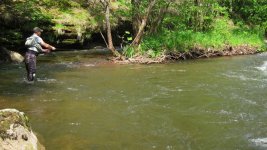 IMG_0860.JPG
