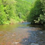 IMG_0871.JPG