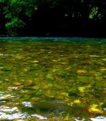 IMG_3514c.jpg