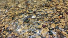 IMG_20170715_142510.jpg