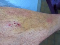 IMG_1128.JPG