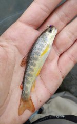 IMG_20170925_154412.jpg