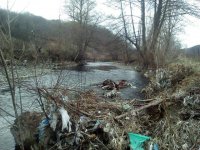 Rasina_DR_0317_02.jpg