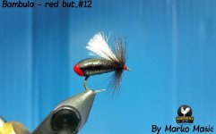 Bambula..red but #12.jpg