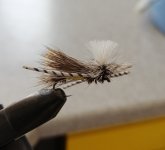IMG_20200506_112742.jpg