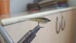 strimer.jpg