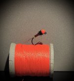 1BD6F24E-F82C-4E58-AEDF-17A669661F84.jpeg