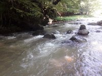 20200829_122412.jpg