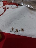 IMG-88f39b5aa55dd514ec40541440a7cf2f-V.jpg