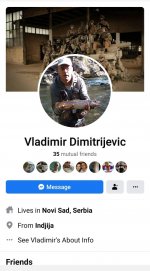 Vladimir Dimitrijević.jpg
