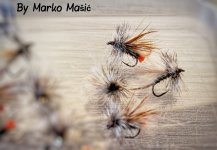 Dryfly.jpg