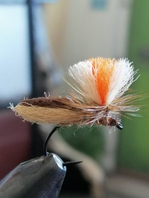 IMG_20201226_110550.jpg