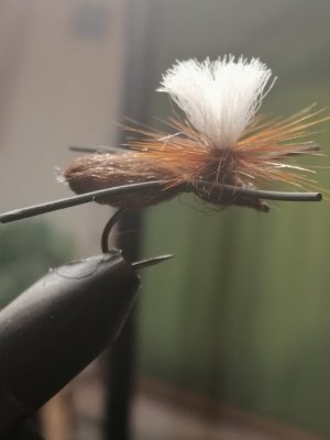 IMG_20201230_184924.jpg