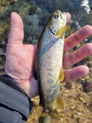 20210306_091533.jpg