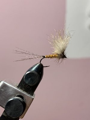 7B4E2DDF-036A-42BC-912D-12CA3914ABA4.jpeg