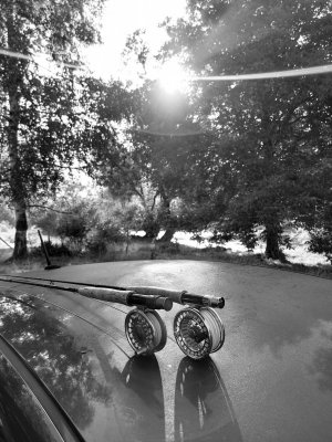20210716_073002.jpg