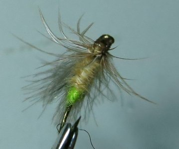 IMG_1246.jpg