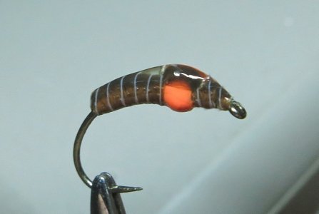 IMG_1320.jpg
