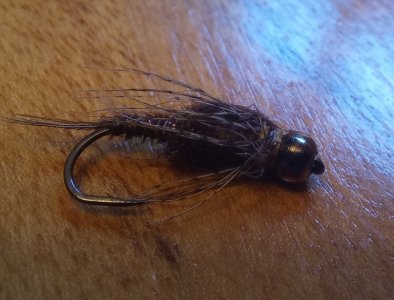 20220129_151916.jpg