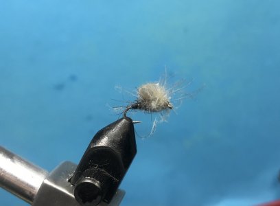 9D228F01-EADB-4272-B179-D78C52E8D06E.jpeg