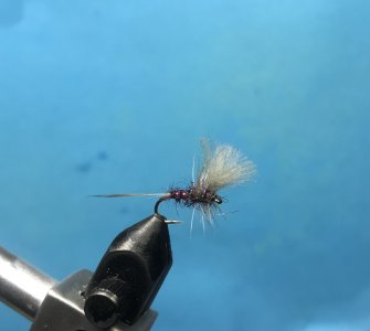 C3FB1151-1137-44B2-B9A2-64971E99DF07.jpeg