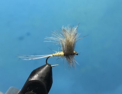 B8EDFCDF-E2A2-40D3-8A3D-44CE03270E00.jpeg