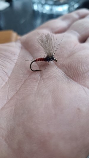 20220221_170346.jpg