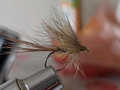 Resizer_16467465047600.jpg