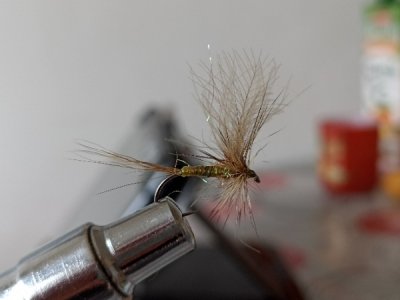 Resizer_16468271886960.jpg